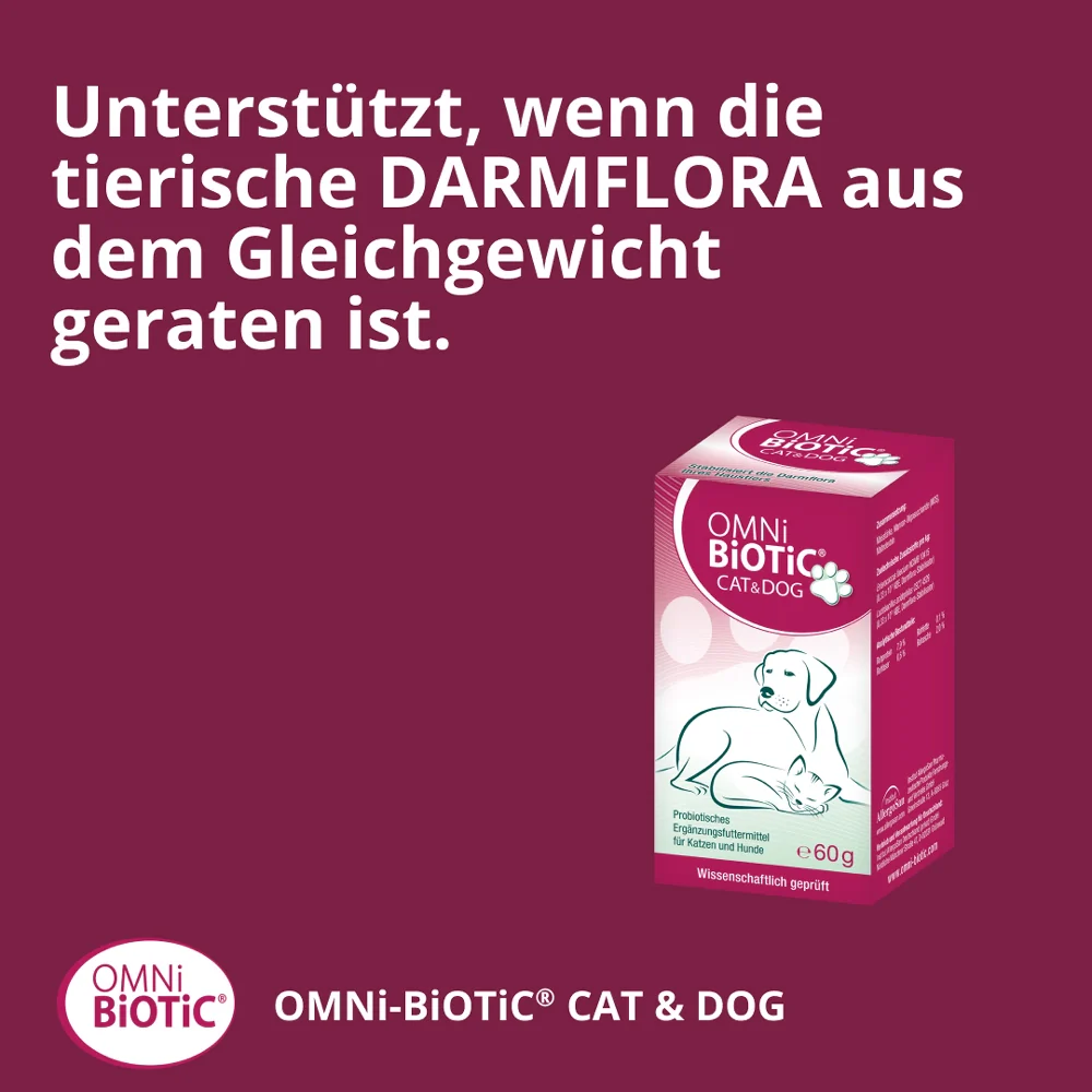 Vorschaubild 7